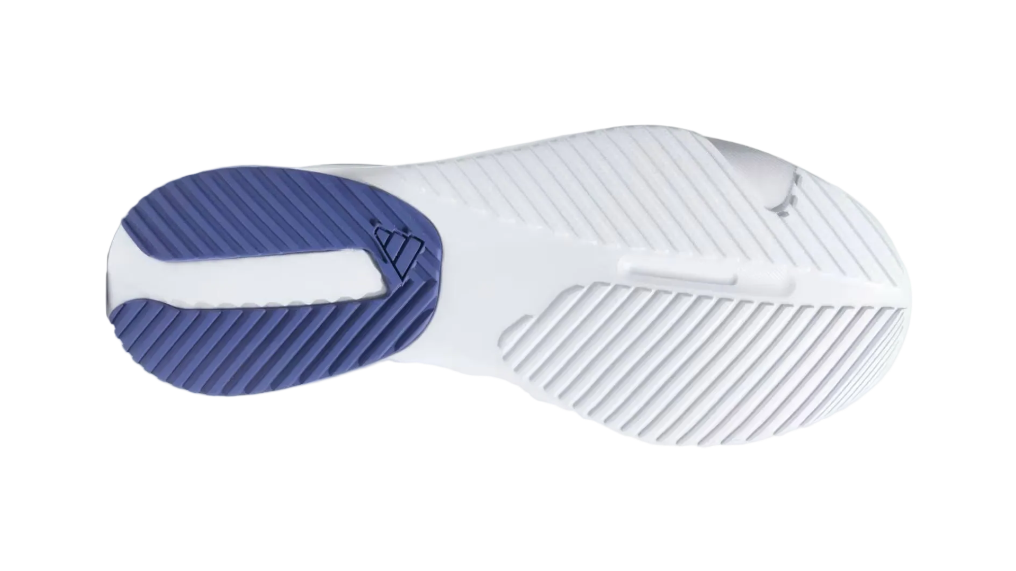 Base Switch Wht Purple