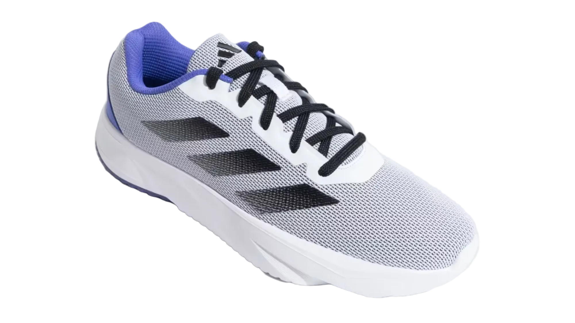 Base Switch Wht Purple