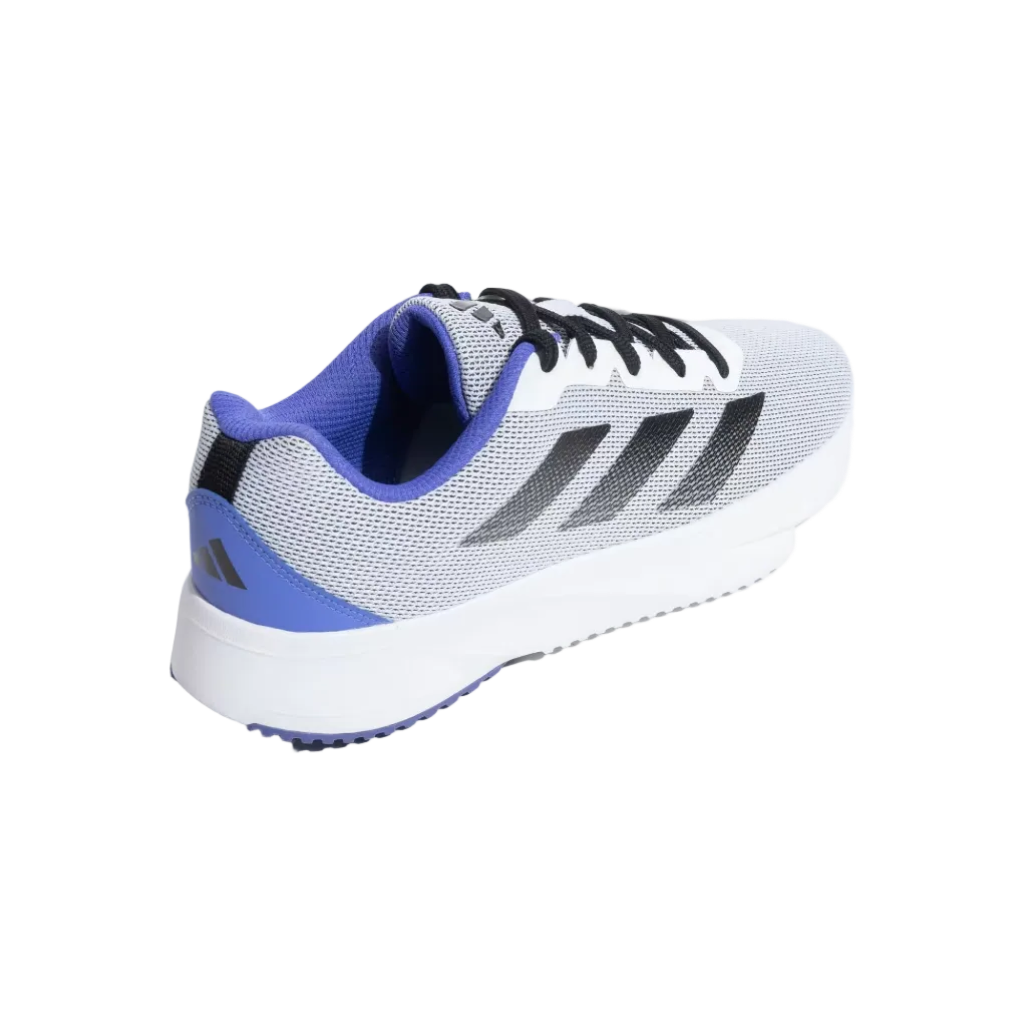 Base Switch Wht Purple