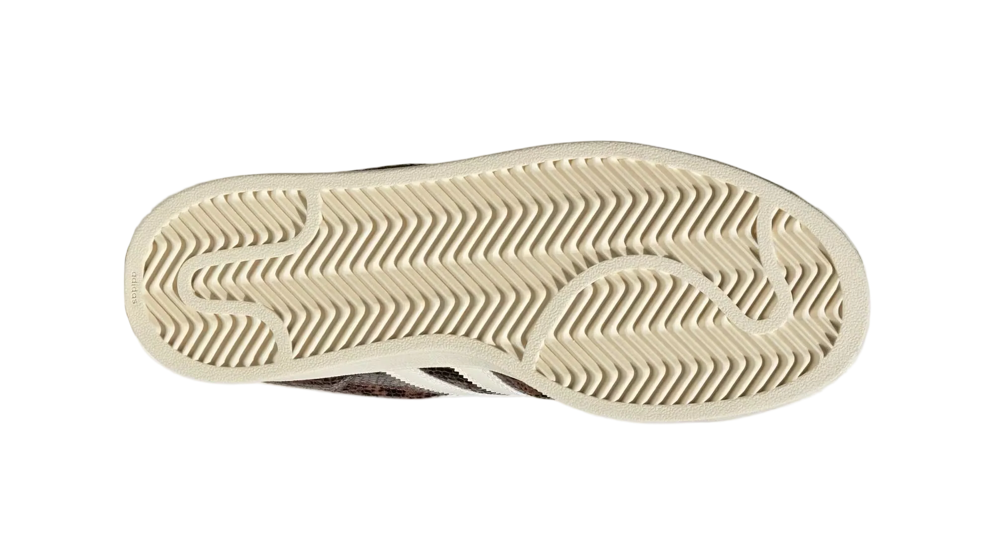 Superstar II Brown Snakeskin Women