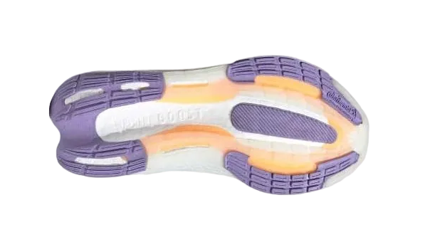 DAMAGE Adidas Ultraboost Light Grey Purp Women