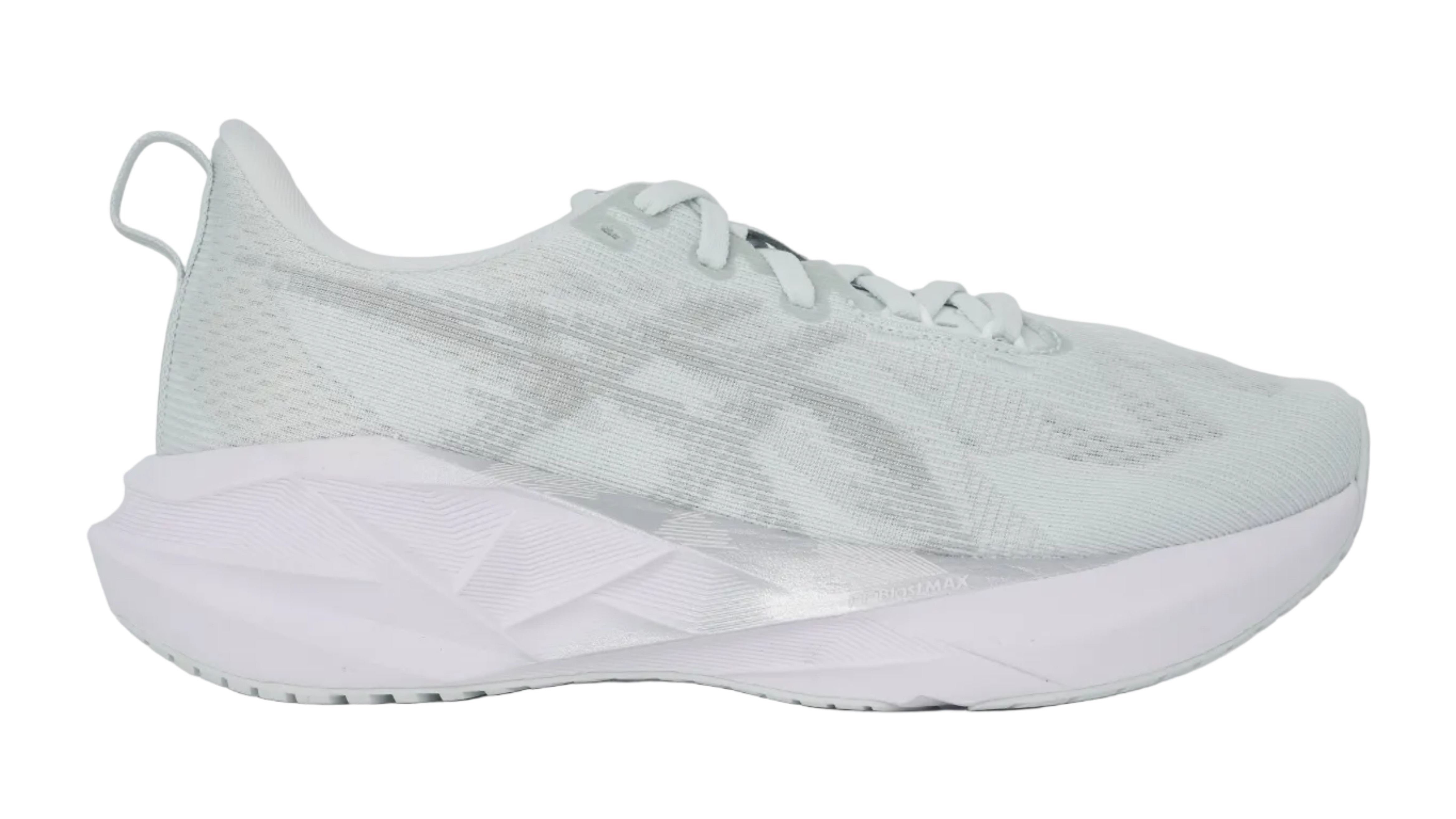 Novablast 5 Pure Seal Grey Women