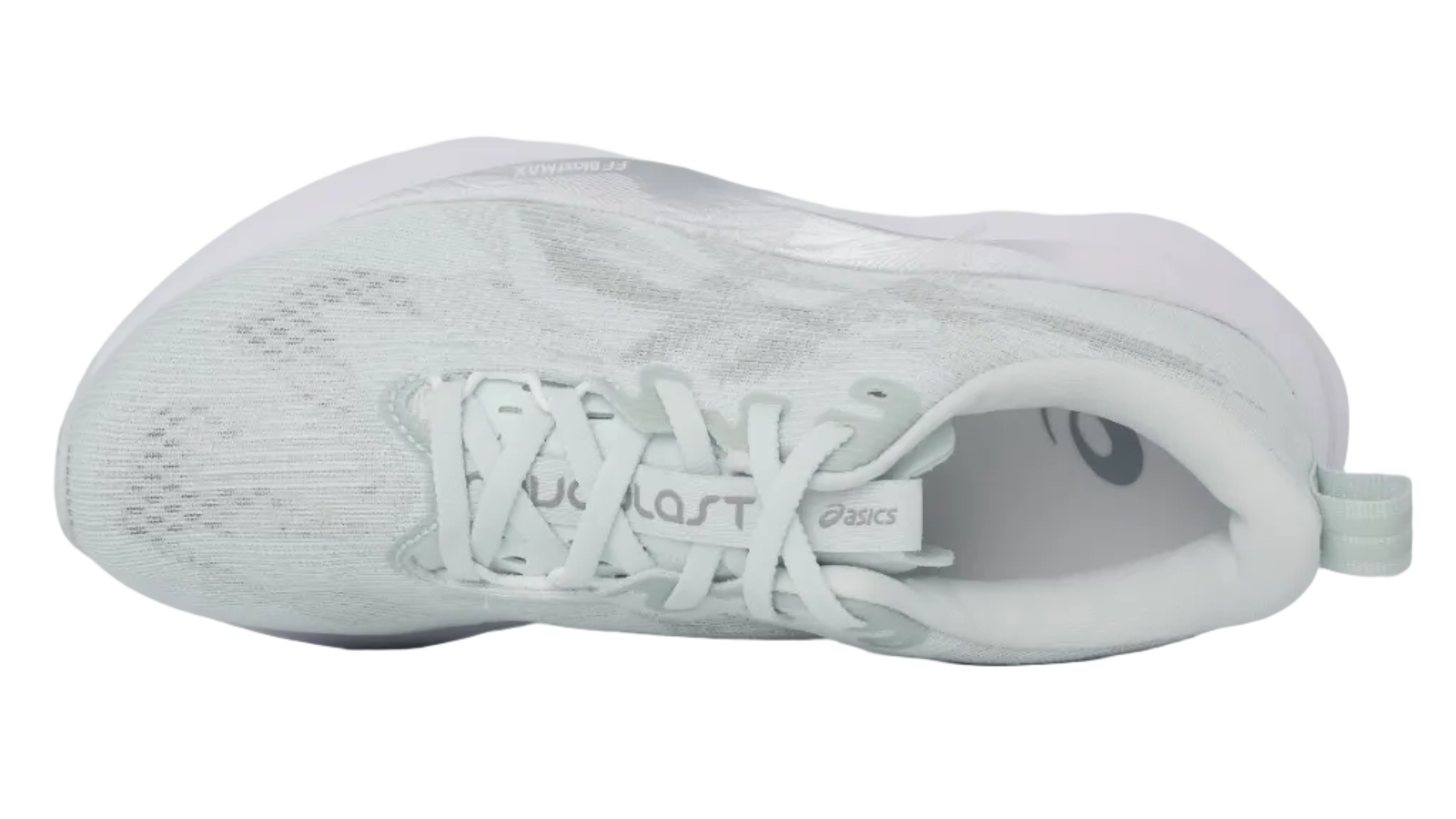 Novablast 5 Pure Seal Grey Women